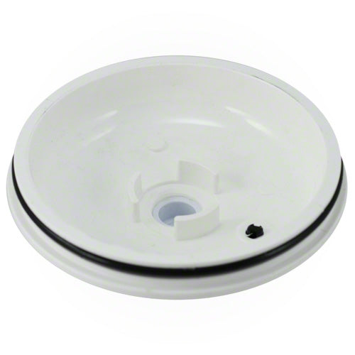 Pentair HC Series Lid R172385D | Pentair R172385D — Sunplay