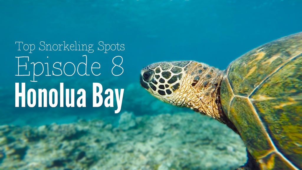 Snorkeling at Honolua Bay, Maui — Sunplay