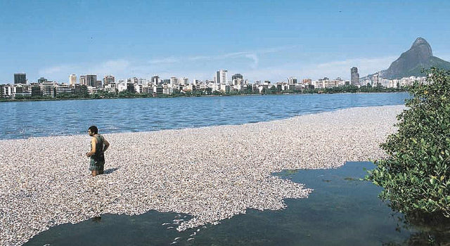 Rio Water Pollution: An Olympic Size Problem - Sunplay.com Blog