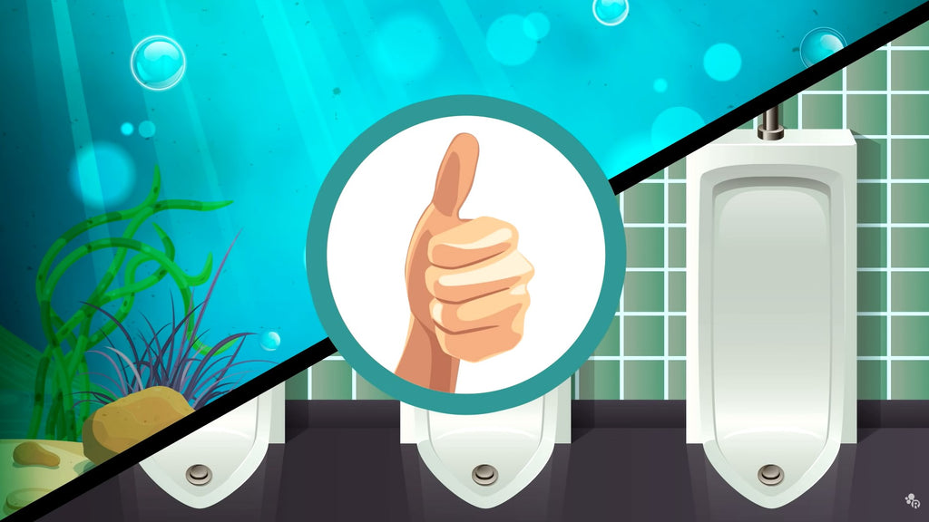 Is it Okay to Pee in the Ocean? — Sunplay