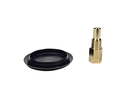 Raypak Rear Drain Plug and Cover 005264F