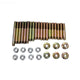 Raypak Stud Bolt Kit 007870F
