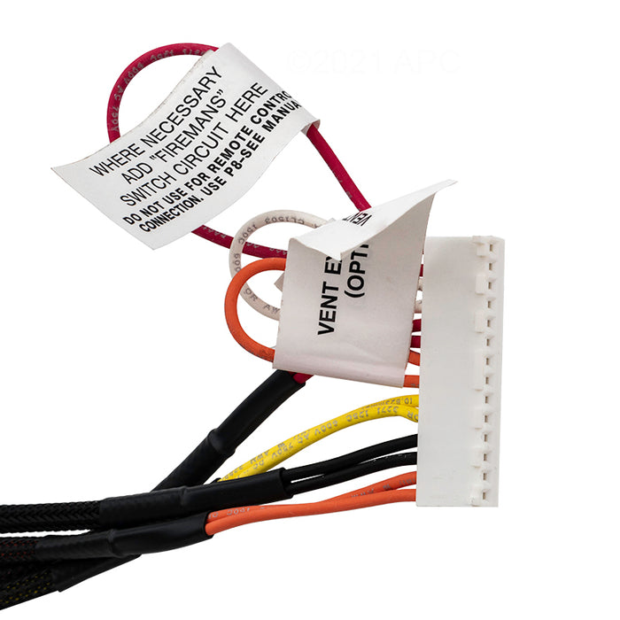 Raypak Wire Harness IID 009490F