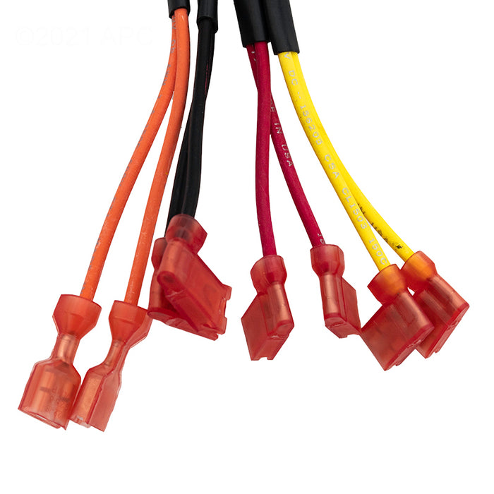 Raypak Wire Harness IID 009490F