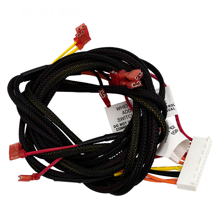 Raypak Wire Harness IID 009490F