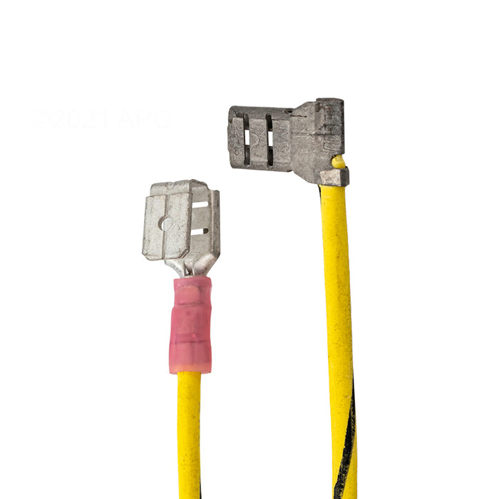 Raypak Wire Harness IID 009490F