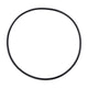 Pool Frog O-Ring 01-22-1922