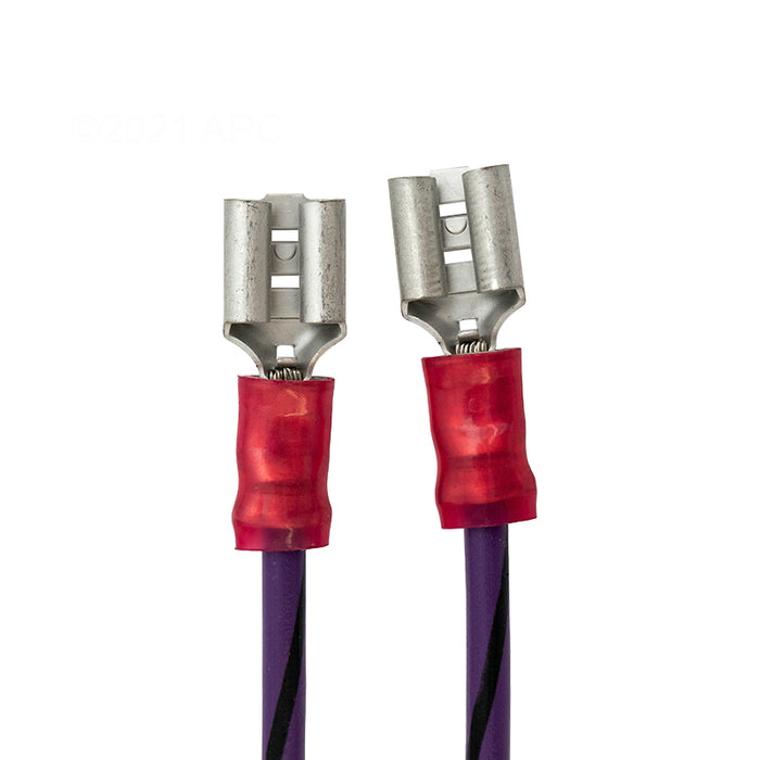 Raypak Wire Harness Millivolt 010386F