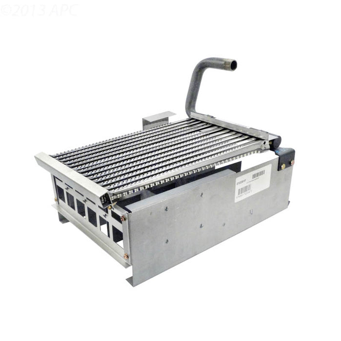 Raypak Digital Burner Tray with Burners 010391F
