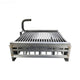 Raypak Digital Burner Tray with Burners 010393F