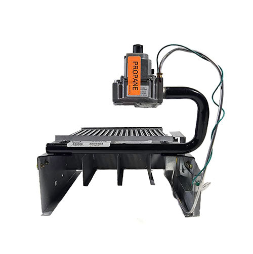 Raypak Digital Burner Tray with Propane Gas Valve IID 010412F