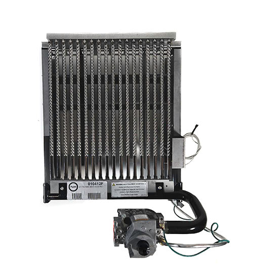 Raypak Digital Burner Tray with Propane Gas Valve IID 010412F