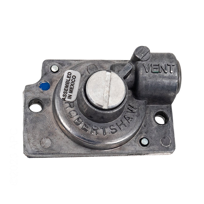 Raypak Conversion Kit 010420F