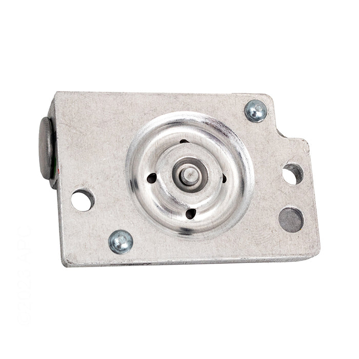 Raypak Conversion Kit 010420F