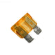 Raypak Digital 5 Amp Fuse 013733F