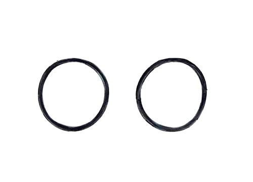 Raypak Water Unions and O-Ring 018155F