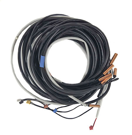 Raypak Sensor Set 018157F