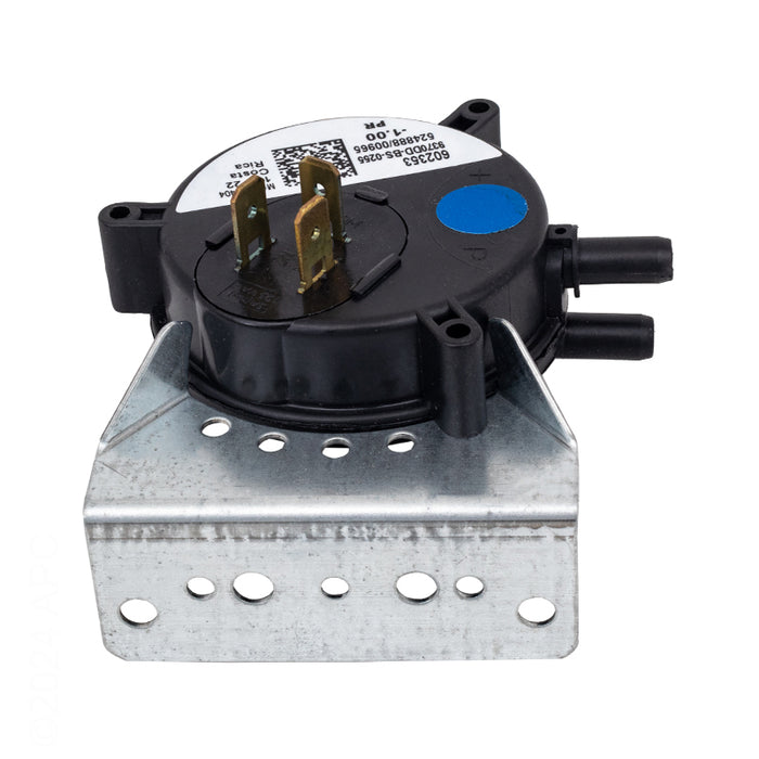 Raypak Pressure Differential 018931F