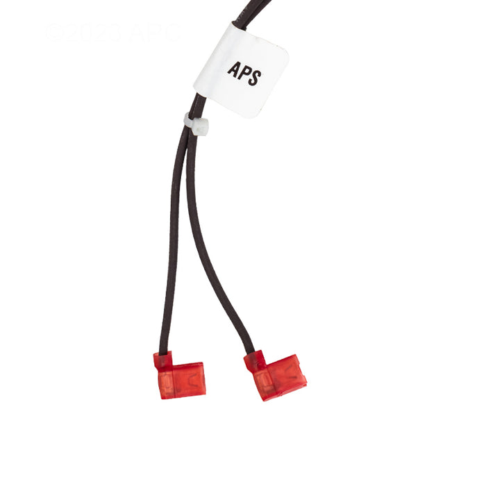 Raypak Wire Harness 019064F