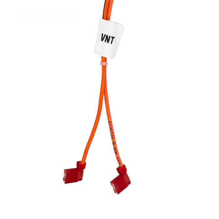 Raypak Wire Harness 019064F