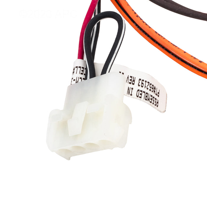 Raypak Wire Harness 019064F