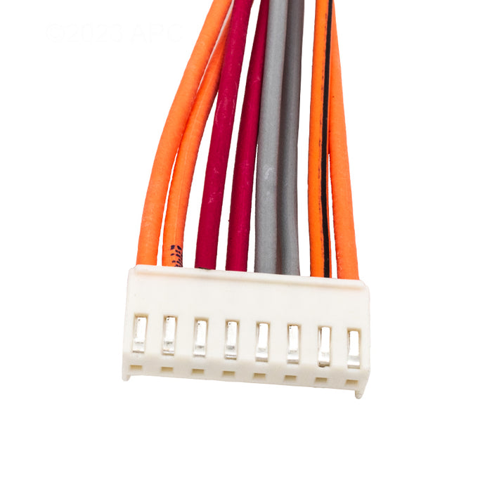 Raypak Wire Harness 019064F