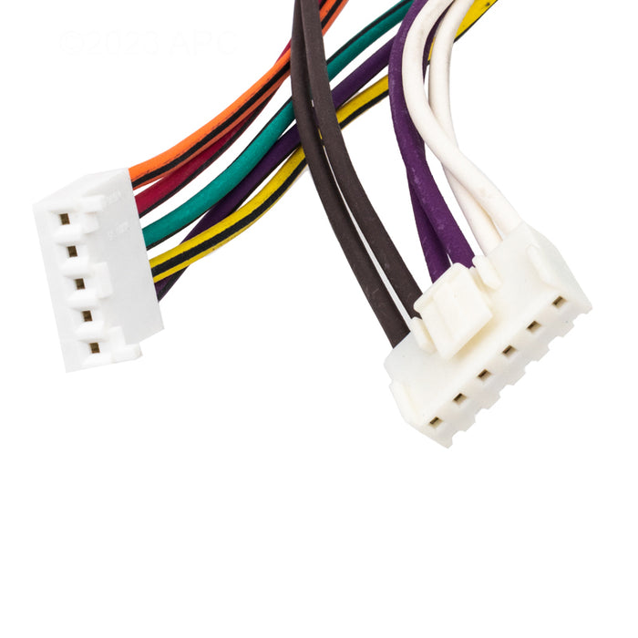 Raypak Wire Harness 019064F