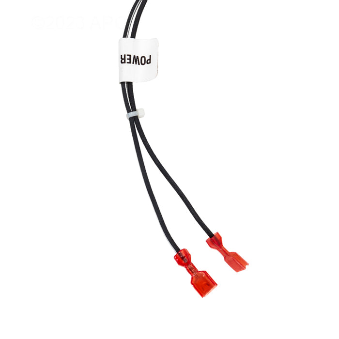 Raypak Wire Harness 019064F