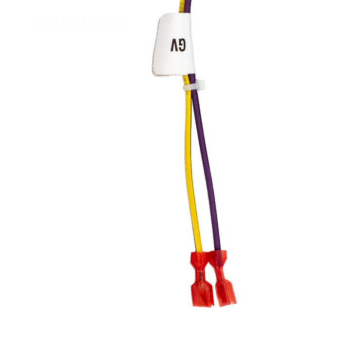 Raypak Wire Harness 019064F