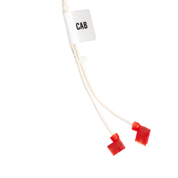 Raypak Wire Harness 019064F