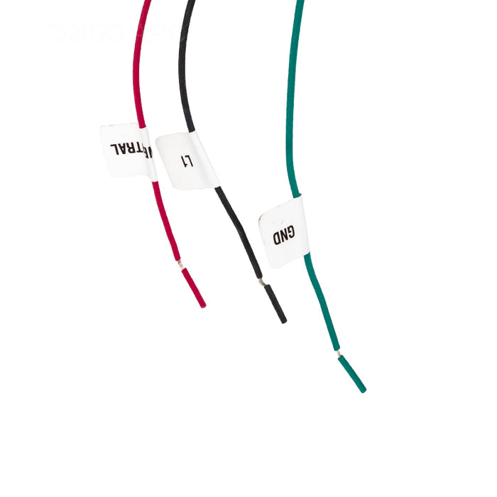Raypak Wire Harness 019064F