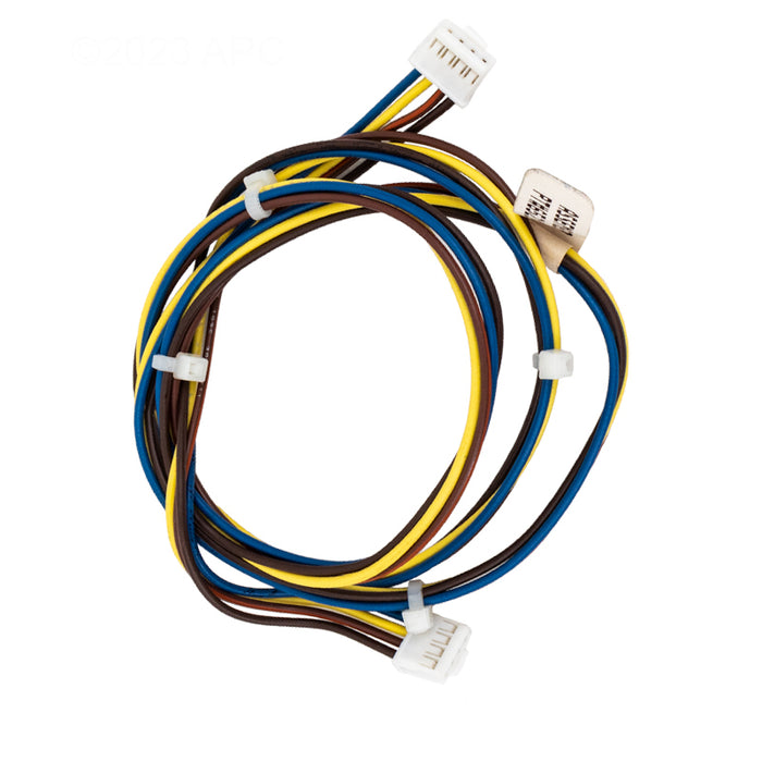 Raypak Wire Harness 019064F