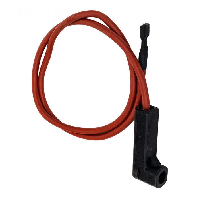 Raypak Wire Harness 019064F