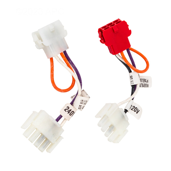 Raypak Wire Harness 019064F