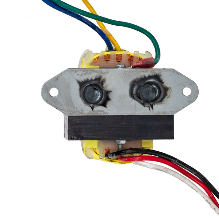 Raypak Wire Harness 019064F