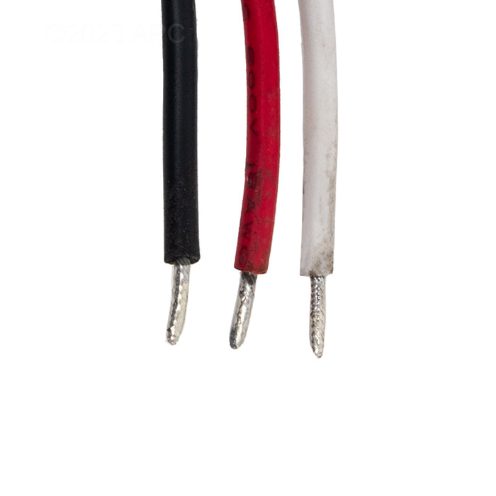 Raypak Wire Harness 019064F