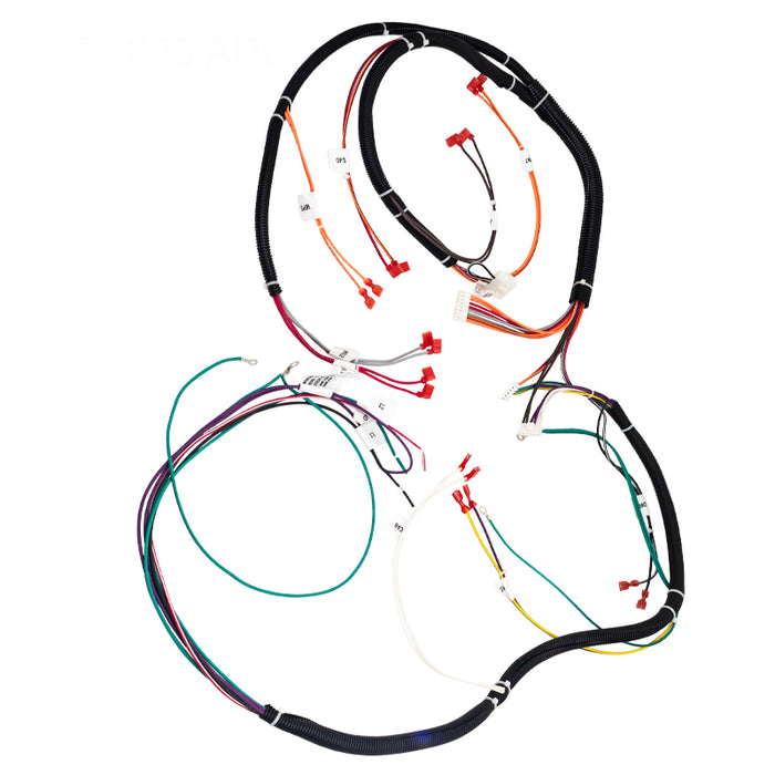 Raypak Wire Harness 019064F