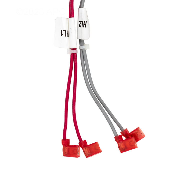 Raypak Wire Harness 019064F
