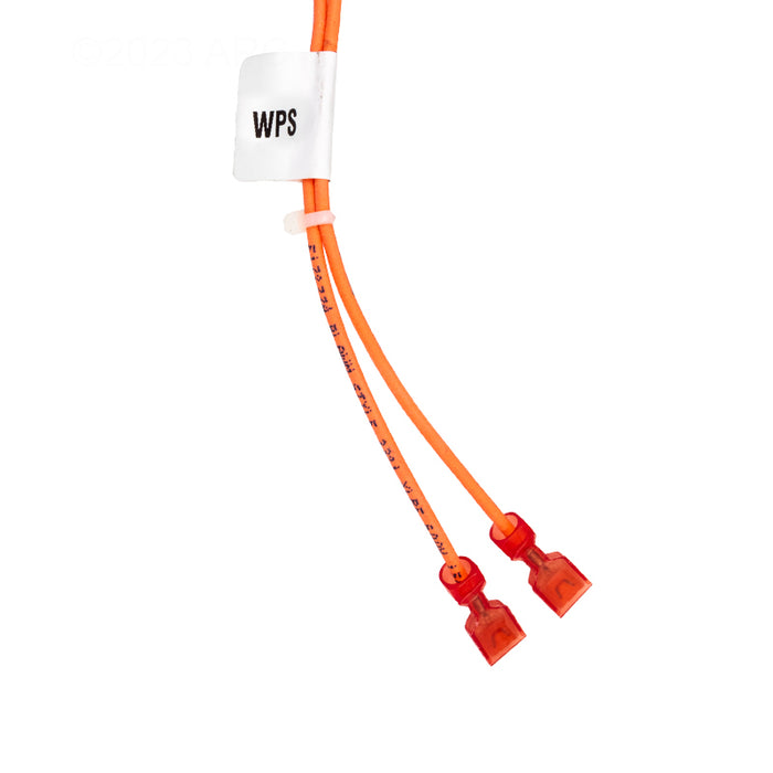 Raypak Wire Harness 019064F