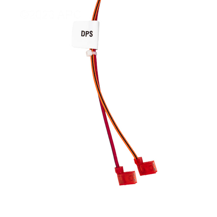Raypak Wire Harness 019064F