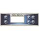 Balboa Panel Overlay 17183