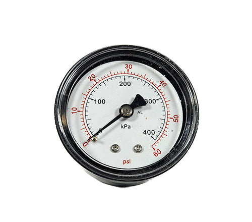 Sta-Rite Valve & Gauge Assembly 24850-0105