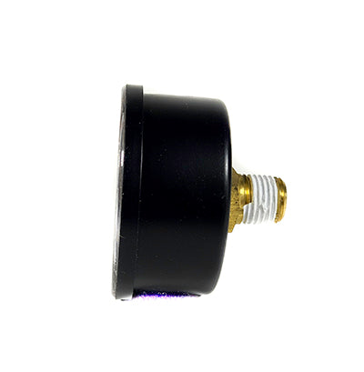 Sta-Rite Valve & Gauge Assembly 24850-0105