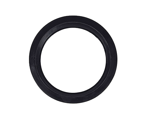 Sta-Rite Valve & Gauge Assembly 24850-0105