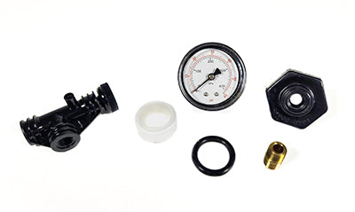 Sta-Rite Valve & Gauge Assembly 24850-0105