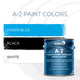 Ramuc A-2 Pool Paint - Gallon