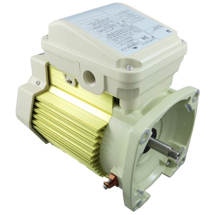 Pentair TEFC Motor 354803S