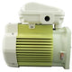 Pentair TEFC Motor 354803S