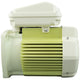 Pentair TEFC Motor 354803S