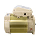 Pentair TEFC Motor 354815S